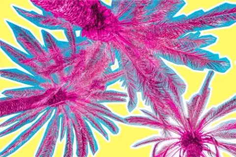 Kolory pop art: Odkryj ich znaczenie i zastosowanie w sztuce